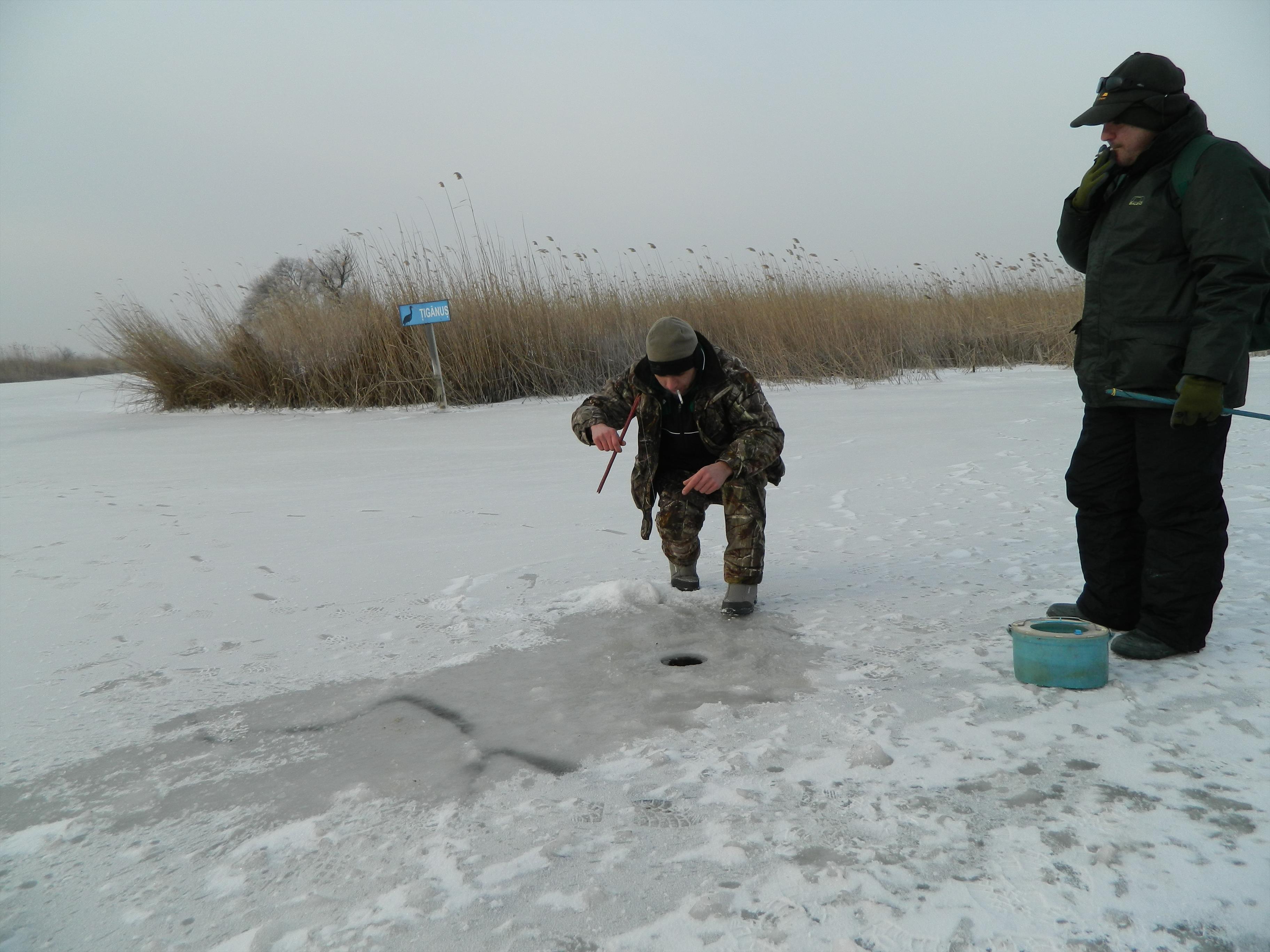 Delta - mulineta 072.jpg